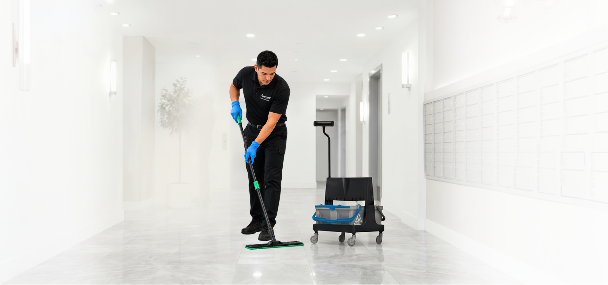 Move-In & Move-Out Cleaning Services